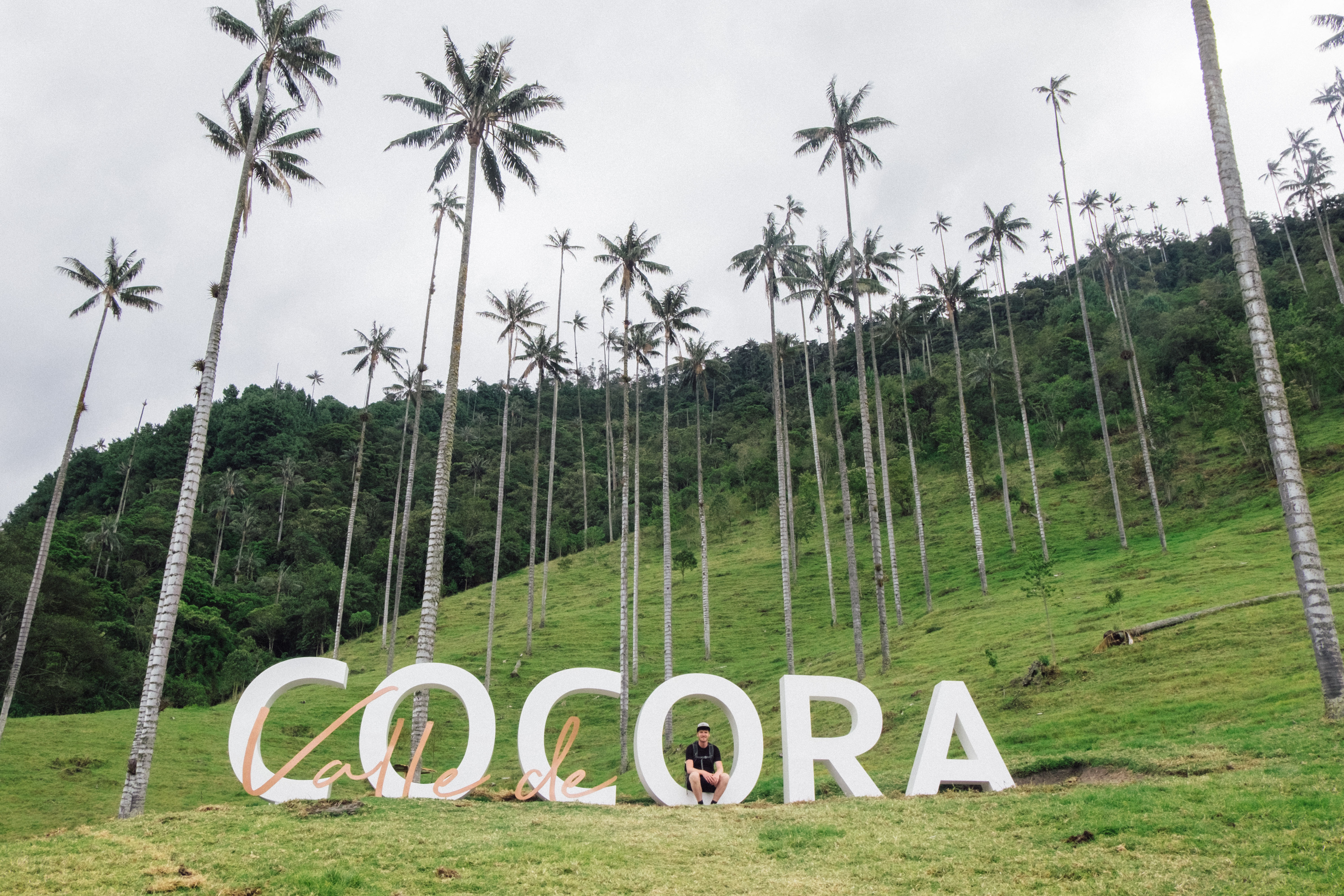 Valley de Cocora